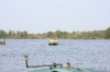 NIEUWKOOP 09-2008 169.JPG